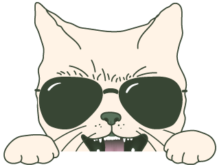 Illustration einer Katze im Portrait mit Sonnenbrille, die sich freut und eine Sonnenbrille aufhat